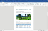 Microsoft Office 2016 Home & Business for PC Digital Download